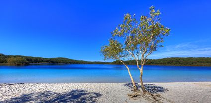 Lake McKenzie - Fraser Island - QLD T  (PB5D 00 51A1695)